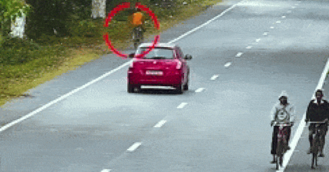 Clip: Đang đạp xe bị báo hoang lao ra vật ngã xuống đường